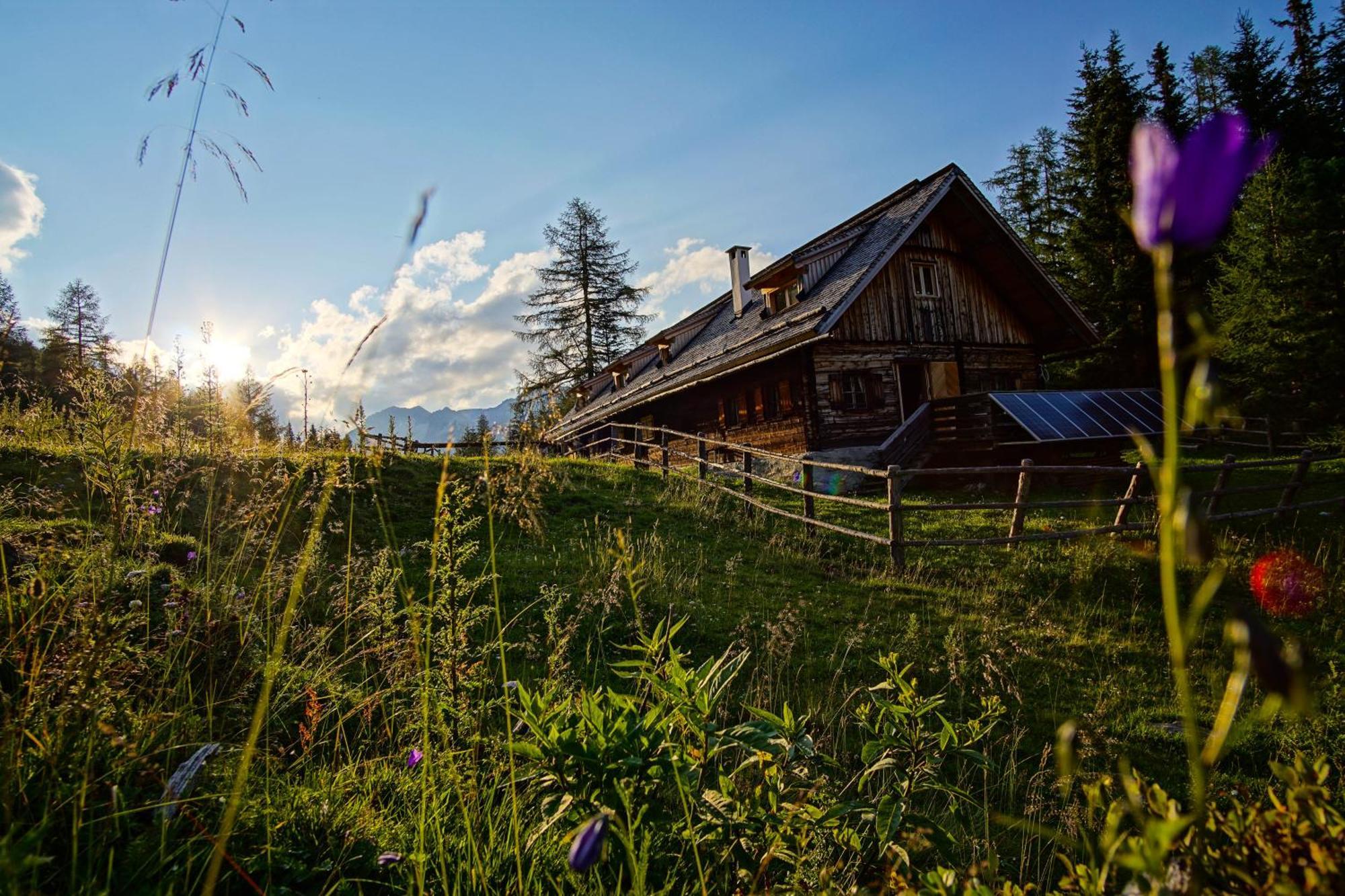 Hotel Steffner-Wallner Mauterndorf  Exteriör bild